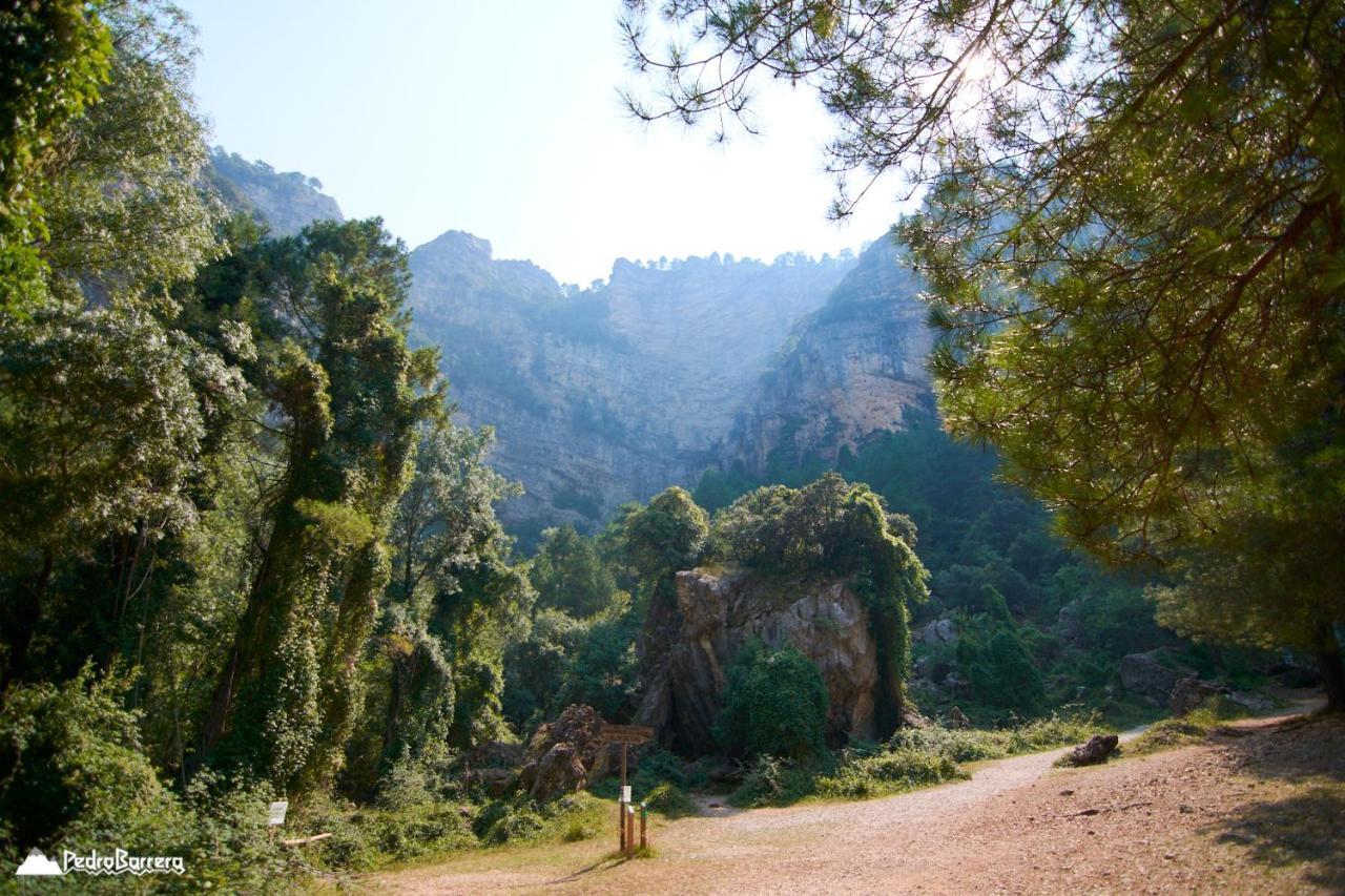 Cabana En Plena Naturaleza Parque Natural Rio Mundo Riópar 외부 사진
