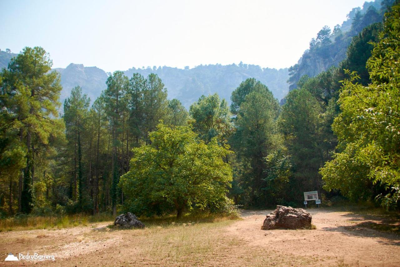 Cabana En Plena Naturaleza Parque Natural Rio Mundo Riópar 외부 사진