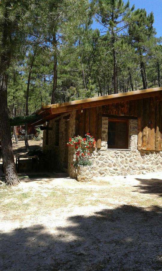 Cabana En Plena Naturaleza Parque Natural Rio Mundo Riópar 외부 사진
